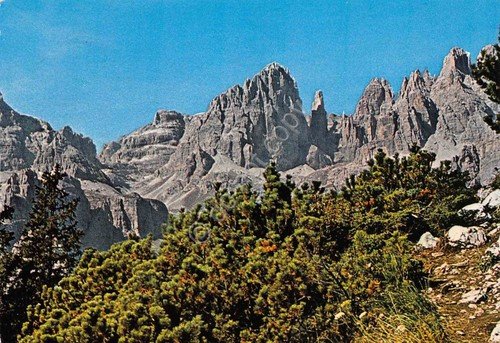 Cartolina Dolomiti di Brenta Brenta Alta Campanile Basso e Alto … | Immagine principale