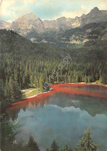 Cartolina Dolomiti di Brenta Lago Rosso di Tovel 1965 | Immagine principale
