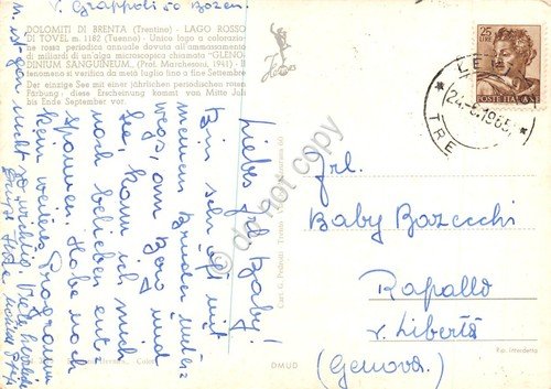 Cartolina Dolomiti di Brenta Lago Rosso di Tovel 1965 | Immagine Gallery 2