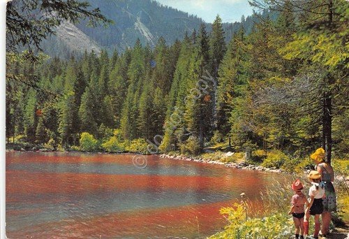 Cartolina Dolomiti di Brenta Lago Rosso di Tovel 1970 animata … | Immagine principale