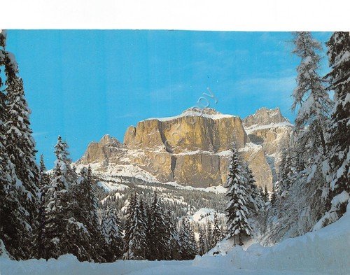 Cartolina Dolomiti Gruppo Sella Panorama (Bolzano) | Immagine principale