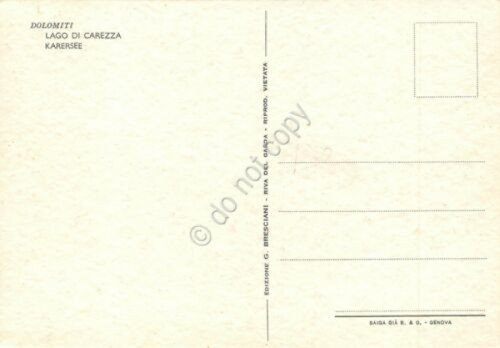 Cartolina Dolomiti Lago Carezza Illustrata Raimondi