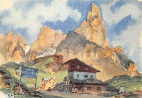 Cartolina Dolomiti Passo Rolle Illustrata Raimondi
