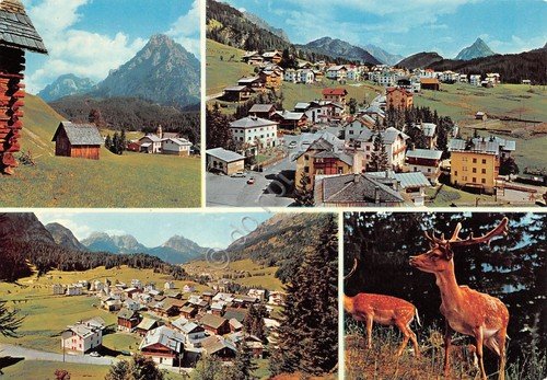 Cartolina Dolomiti Sappada 4 vedute panorama cerbiatti (Belluno) | Immagine principale