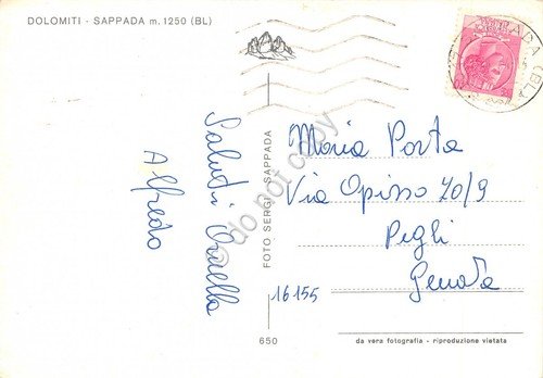 Cartolina Dolomiti Sappada vedute stella alpina (Belluno) | Immagine Gallery 2