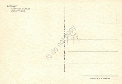 Cartolina Dolomiti Torri del Vajolet Illustrata Raimondi