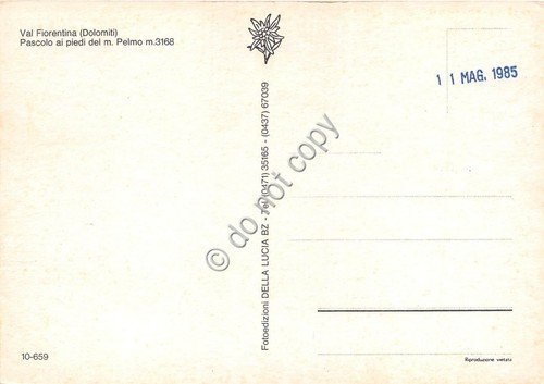 Cartolina Dolomiti Val Fiorentina Pascolo ai piedi del M. Pelmo | Immagine Gallery 2