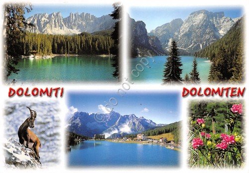 Cartolina Dolomiti vedute varie panorama stambecco fiori 2007 (Bolzano) | Immagine principale
