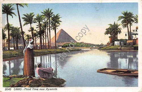 Cartolina Egitto Illustrata - Cairo - Flood time near piramidis … | Immagine principale