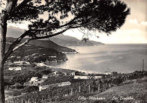 Cartolina Elba - La Biodola - 1953 - VG (Livorno) | Immagine principale