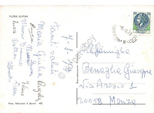 Cartolina Esino Lario panorama e fiori 1979 (Como)