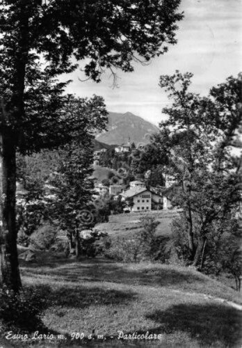 Cartolina Esino Lario panorama parziale 1957 | Immagine principale