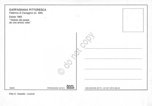 Cartolina Fabbrica di Careggine veduta del paese da antica volta … | Immagine Gallery 2