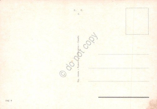 Cartolina Faenza città delle ceramiche vedute varie ceramista anni '80