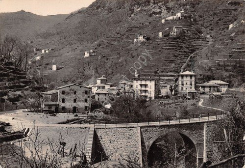 Cartolina Favale di Malvaro Frazione Rocca e Ponte Nuovo anni … | Immagine principale