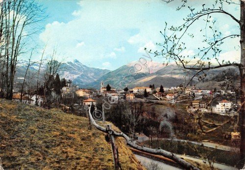 Cartolina Favaro panorama 1970 | Immagine principale