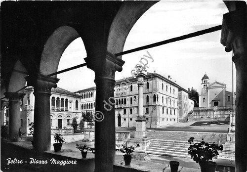 Cartolina Feltre Piazza Maggiore 1960