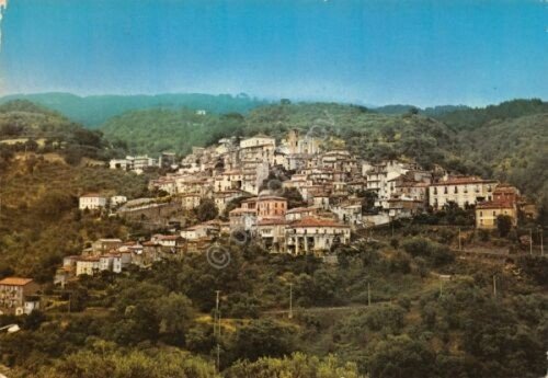 Cartolina Feroleto Antico Panorama 1986