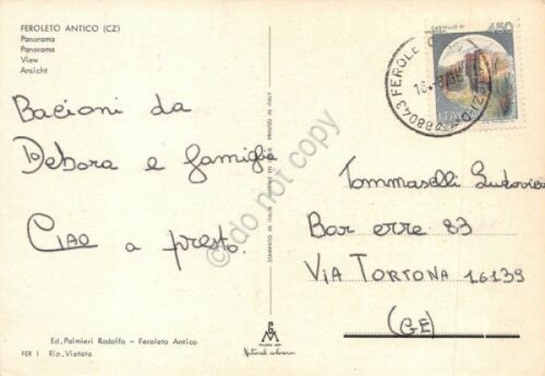 Cartolina Feroleto Antico Panorama 1986