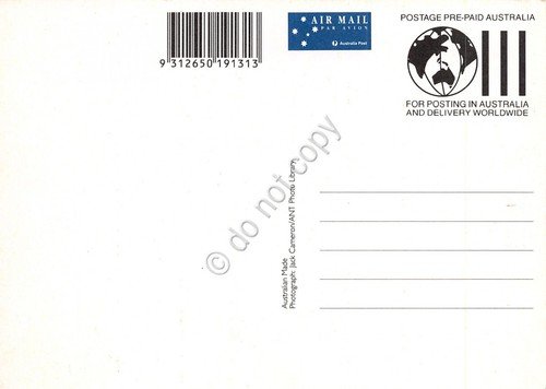 Cartolina Filatelica Australia Kangoo 1994 | Immagine Gallery 2