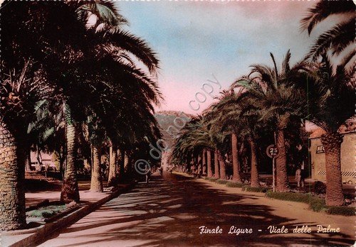 Cartolina Finale Ligure Il viale delle Palme colorata 1956 | Immagine principale