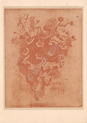 Cartolina Fiori illustrata timbro a targhetta Profumo Orchidea Bianca Garmella | Immagine Gallery 2