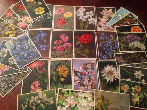 Cartolina fiori lotto di 30 Cartoline NVG VG Grandi | Immagine principale