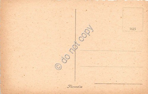 Cartolina Firenze Panorama NVG | Immagine Gallery 2