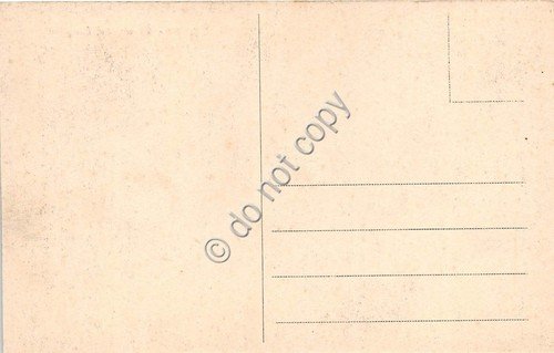 Cartolina Firenze veduta dei Lungarni | Immagine Gallery 2