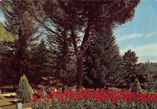 Cartolina Fiuggi Fonte Fonte Anticolana parco 1986 (Frosinone) | Immagine principale