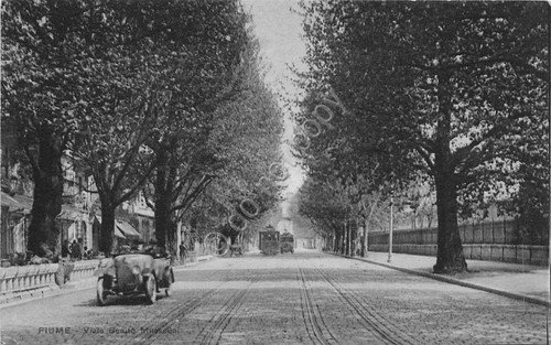 Cartolina Fiume Istria Viale Mussolini auto d'epoca tram | Immagine principale