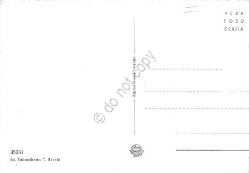 Cartolina Fontanellato Viale IV Novembre e scuole comunali anni' 50