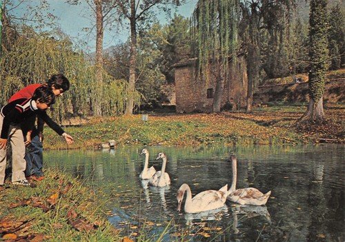 Cartolina Fonti del Clitumno animata cigni poesia Carducci al retro …