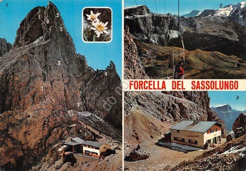 Cartolina Forcella del Sassolungo 3 vedute telecabina rifugio Toni Deletz | Immagine principale