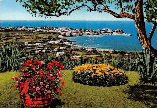 Cartolina Forio d'Ischia panorama e porto colorata | Immagine Gallery 1