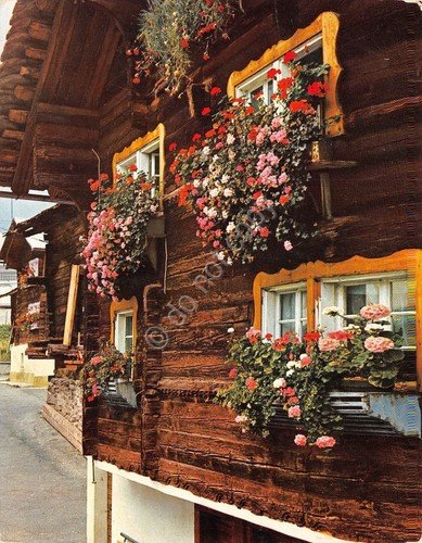 Cartolina Formazza Casa tipica Architettura tipica (Verbania) | Immagine principale