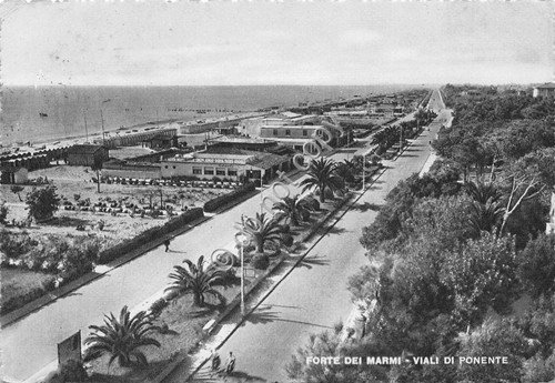Cartolina Forte dei Marmi Viale di Ponente 1953 (Lucca)