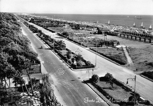 Cartolina Forte dei Marmi Viali a mare 1956 (Lucca) | Immagine principale