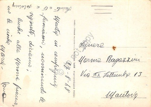 Cartolina Forte dei Marmi viali al mare 1948 | Immagine Gallery 2