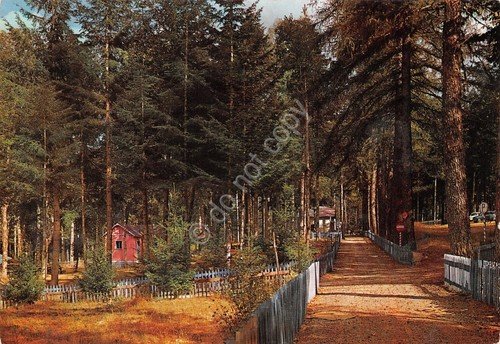 Cartolina Fossiata Sila villaggio 1978