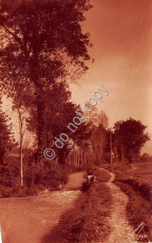 Cartolina foto cartolina Panorama lungofiume animata Fotocelere anni '20 | Immagine principale