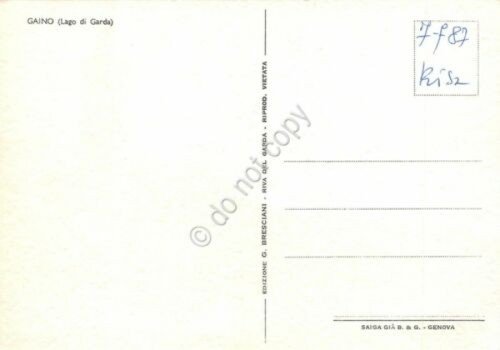 Cartolina Gajno Lago di Garda Illustrata Raimondi