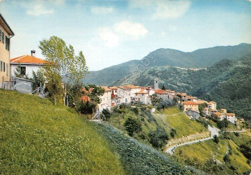Cartolina Garfagnana Veduta di Vergemoli panorama con case