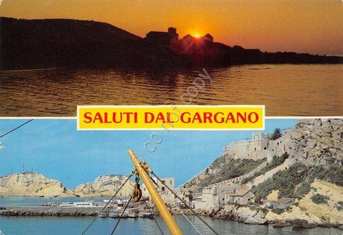Cartolina Gargano Isole Tremiti vedute 1988 (Foggia)