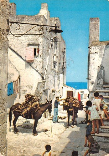 Cartolina Gargano Litorale Vieste Mattinata via di un paese con …