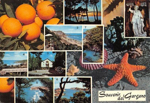 Cartolina Gargano S. Menaio Rodi Mnacore Peschici Tremiti Michele 8 … | Immagine principale