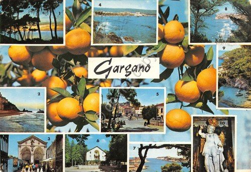 Cartolina Gargano vedute varie e agrumi 1967 | Immagine principale