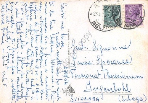 Cartolina Gatti piccoli mici illustrata giocano con farfalle 1954 | Immagine Gallery 2