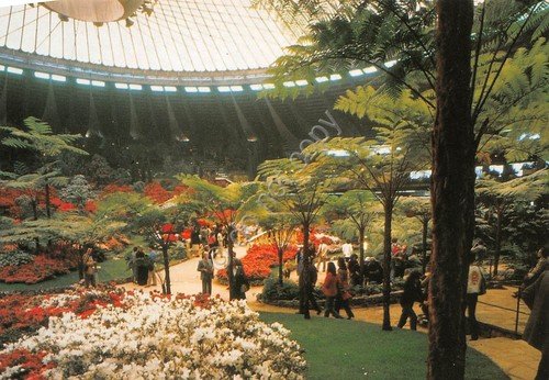 Cartolina Genova Euroflora 1991 A | Immagine principale