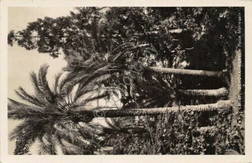 Cartolina Genova Nervi Alberi Giardini Ed. Brunner 1940